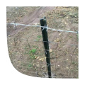 Clôture de sécurité PVC Acier enduit pour la clôture de bétail